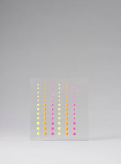 Solid Neon (Multicolor)