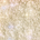 A.S.M.R. (Champagne with Blue Reflects)