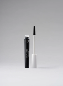 Urchin (Black)