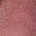 Blushing Lizard (Mauve Taupe with Mint Reflects)