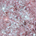 Blushing Lizard (Mauve Taupe With Blue Reflects)